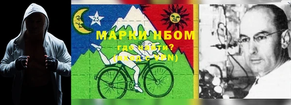 PSILOCYBIN Медногорск