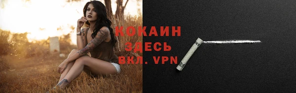 соль курить ск Медвежьегорск