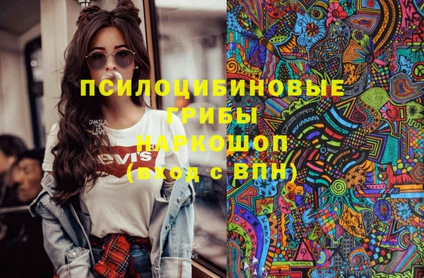 spice Мегион