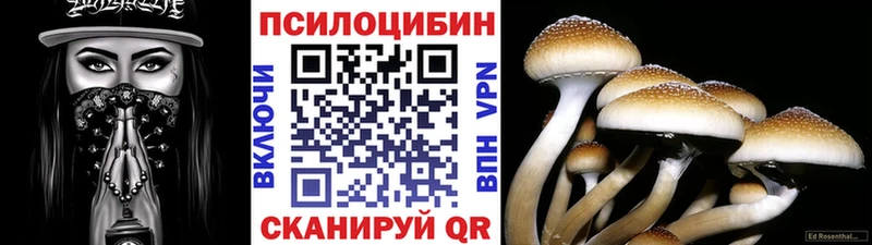 ОМГ ОМГ зеркало где можно купить Ува Псилоцибиновые грибы Magic Shrooms